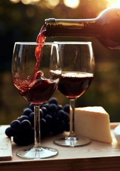 PHẦN 1 - CHIA SẺ KIẾN THỨC VỂ RƯỢU VANG CHO NGƯỜI MỚI BẮT ĐẦU